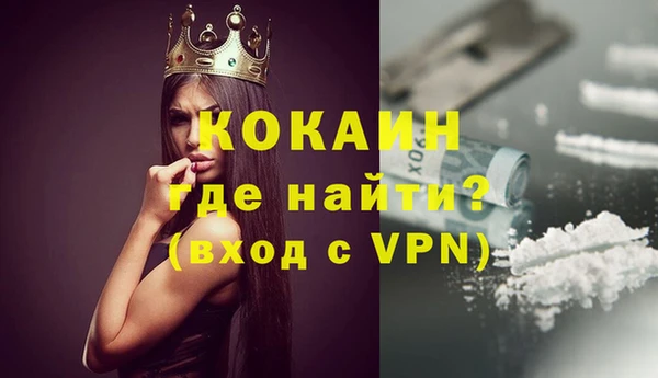 крисы Абаза