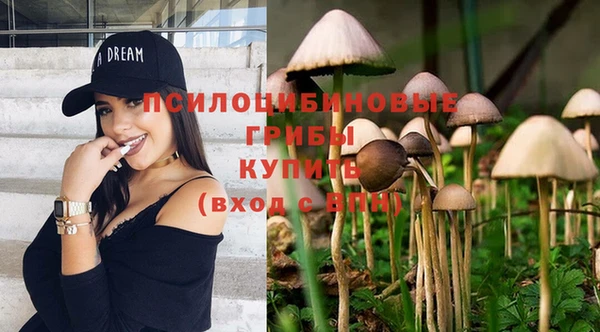 стафф Алзамай
